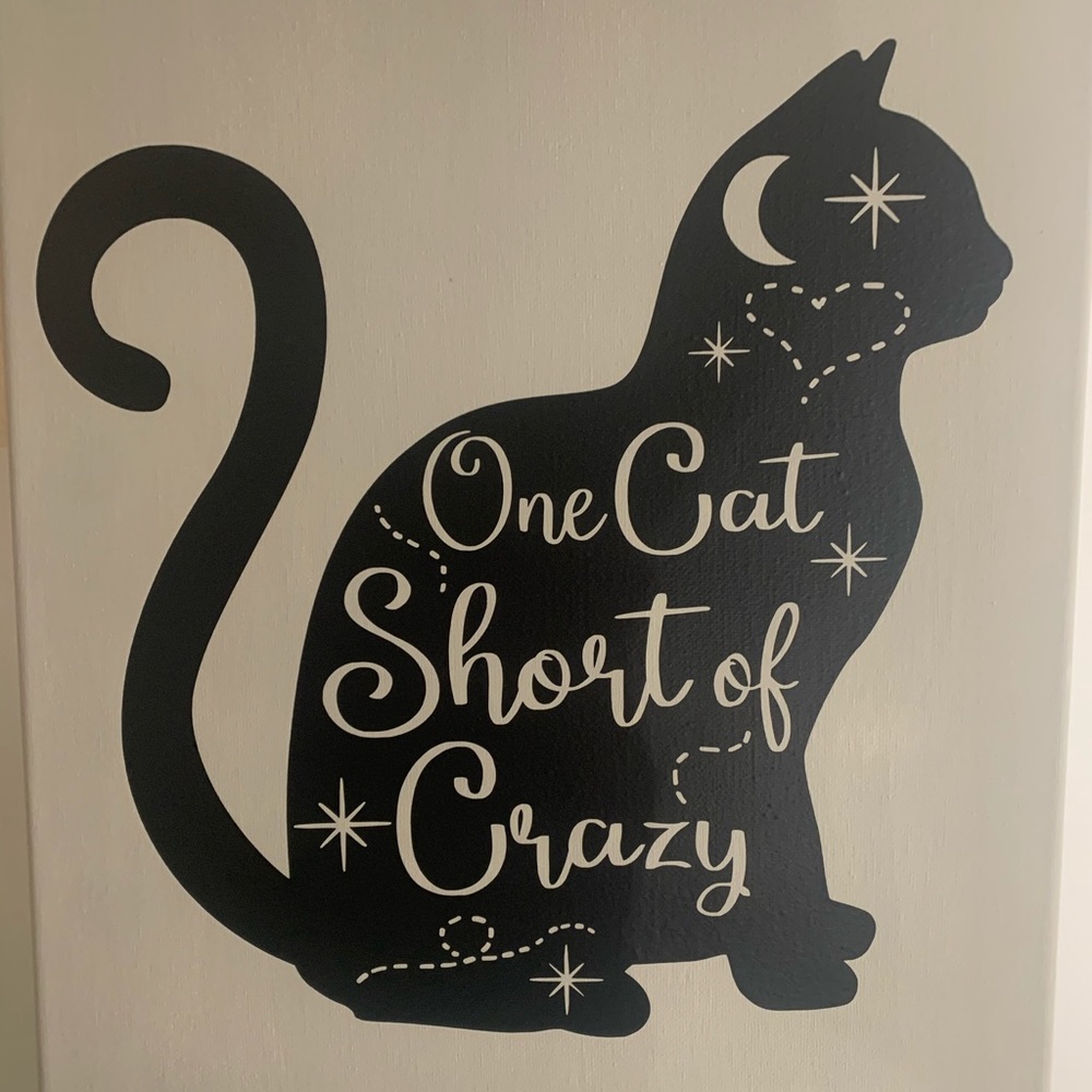 Crazy Cat Lady Canvas